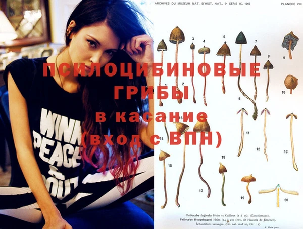синтетический гашиш Осташков