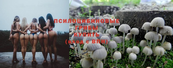 синтетический гашиш Осташков