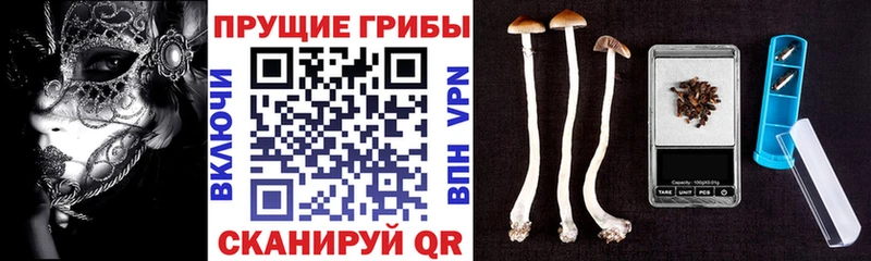 Псилоцибиновые грибы ЛСД  где можно купить наркотик  Лесозаводск 